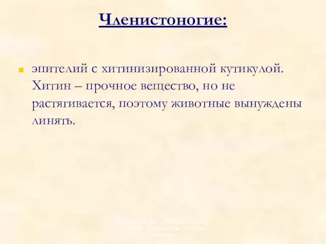 Членистоногие: эпителий с хитинизированной кутикулой. Хитин – прочное вещество, но не растягивается,