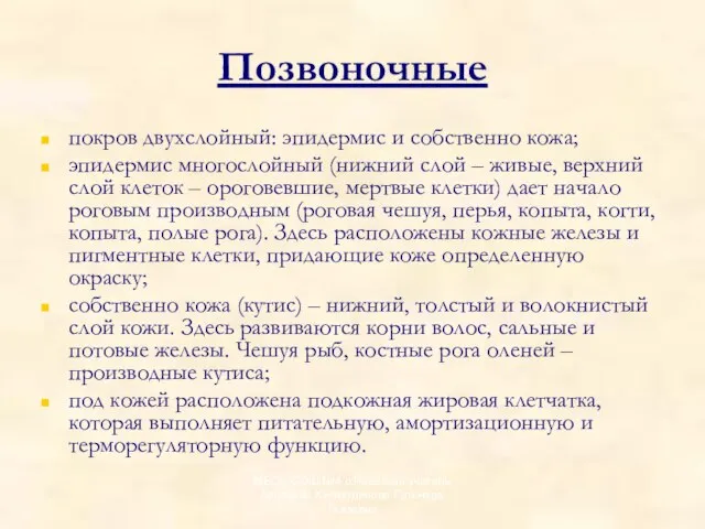 Позвоночные покров двухслойный: эпидермис и собственно кожа; эпидермис многослойный (нижний слой –