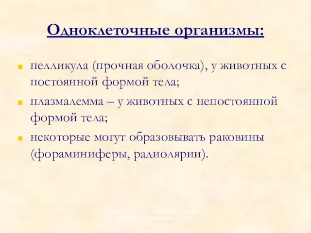 Одноклеточные организмы: пелликула (прочная оболочка), у животных с постоянной формой тела; плазмалемма