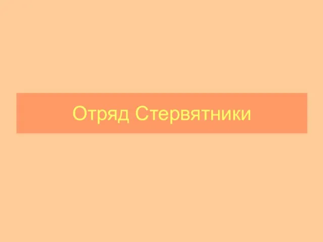 Отряд Стервятники