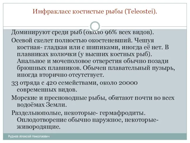 Инфракласс костистые рыбы (Teleostei). Руднев Алексей Николаевич Доминируют среди рыб (около 96%