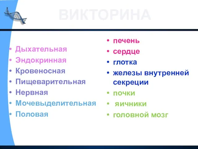 Дыхательная Эндокринная Кровеносная Пищеварительная Нервная Мочевыделительная Половая печень сердце глотка железы внутренней