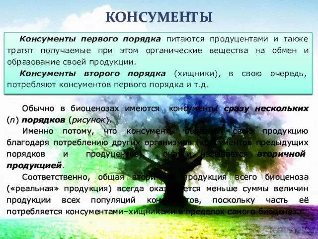 КОНСУМЕНТЫ Обычно в биоценозах имеются консументы сразу нескольких (n) порядков (рисунок). Именно