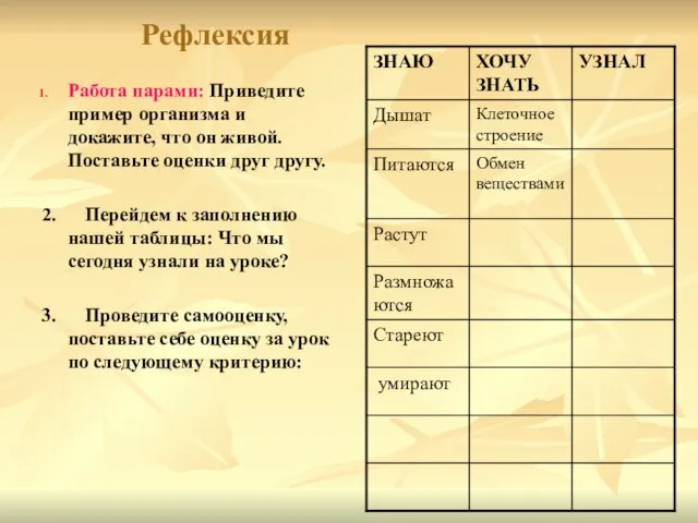 Рефлексия Работа парами: Приведите пример организма и докажите, что он живой. Поставьте