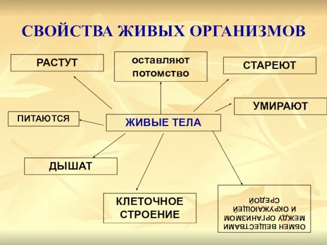 ЖИВЫЕ ТЕЛА ДЫШАТ оставляют потомство ПИТАЮТСЯ РАСТУТ УМИРАЮТ СТАРЕЮТ КЛЕТОЧНОЕ СТРОЕНИЕ ОБМЕН