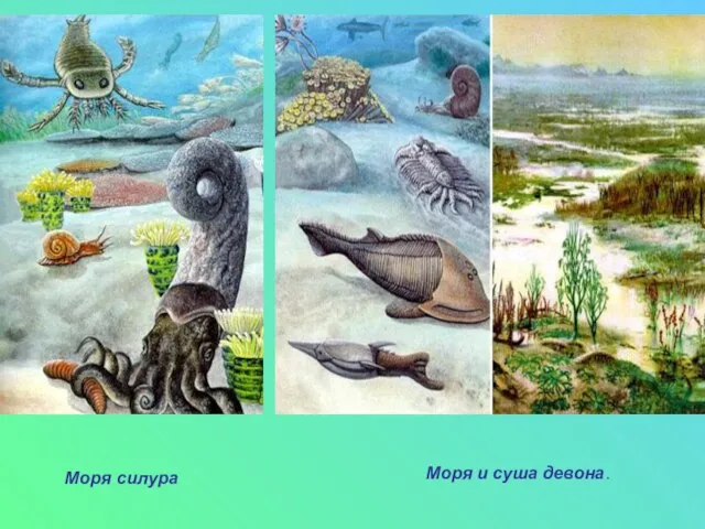 Моря силура Моря и суша девона.