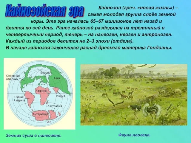 Кайнозой (греч. «новая жизнь») – самая молодая группа слоёв земной коры. Эта