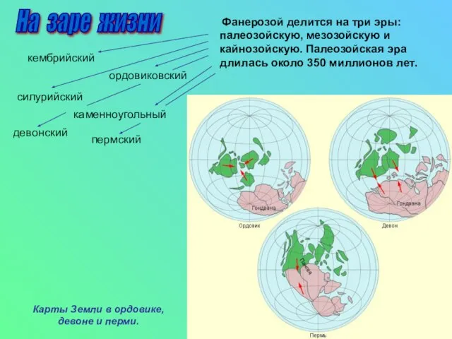 Фанерозой делится на три эры: палеозойскую, мезозойскую и кайнозойскую. Палеозойская эра длилась