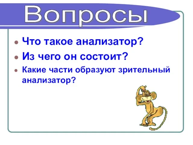 Что такое анализатор? Из чего он состоит? Какие части образуют зрительный анализатор? Вопросы