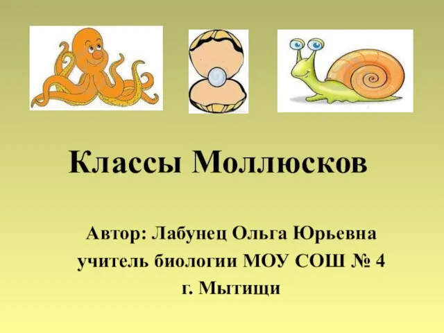 Презентация на тему Классы Моллюсков