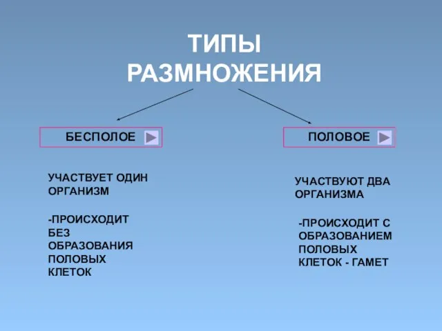 ТИПЫ РАЗМНОЖЕНИЯ БЕСПОЛОЕ ПОЛОВОЕ УЧАСТВУЕТ ОДИН ОРГАНИЗМ -ПРОИСХОДИТ БЕЗ ОБРАЗОВАНИЯ ПОЛОВЫХ КЛЕТОК