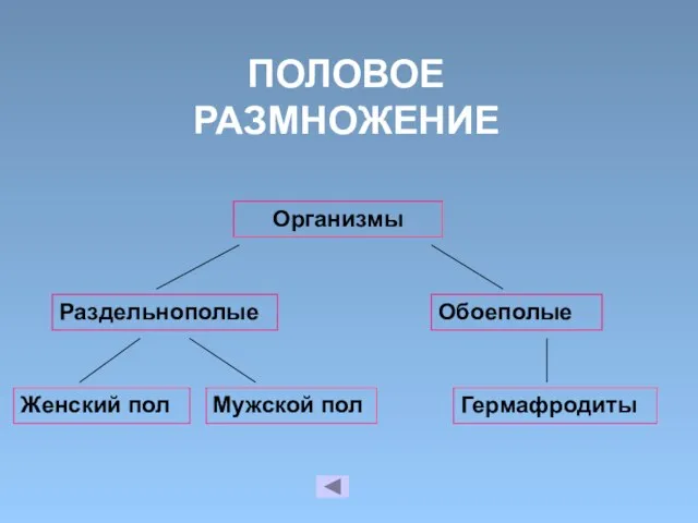 ПОЛОВОЕ РАЗМНОЖЕНИЕ Организмы Раздельнополые Обоеполые Женский пол Мужской пол Гермафродиты