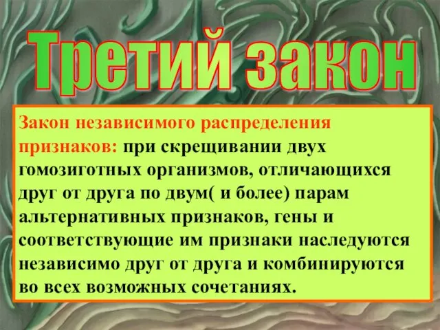 Третий закон Закон независимого распределения признаков: при скрещивании двух гомозиготных организмов, отличающихся