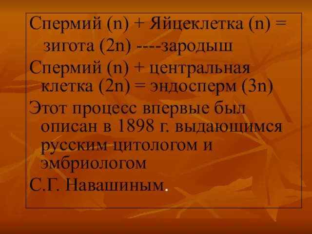 Спермий (n) + Яйцеклетка (n) = зигота (2n) ----зародыш Спермий (n) +