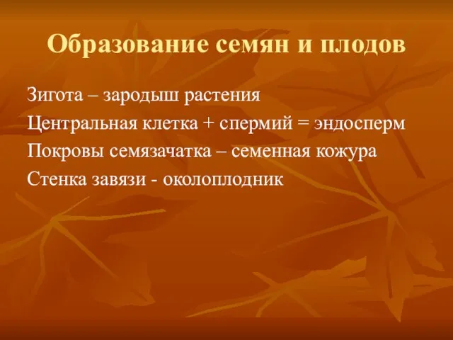 Образование семян и плодов Зигота – зародыш растения Центральная клетка + спермий