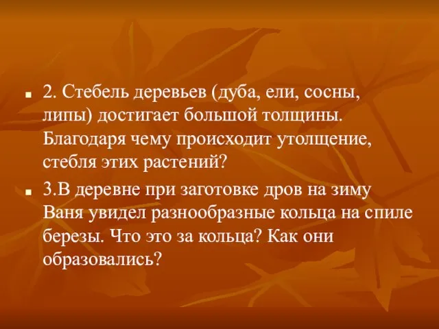 2. Стебель деревьев (дуба, ели, сосны, липы) достигает большой толщины. Благодаря чему