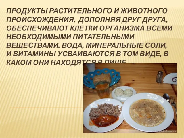 Продукты растительного и животного происхождения, дополняя друг друга, обеспечивают клетки организма всеми