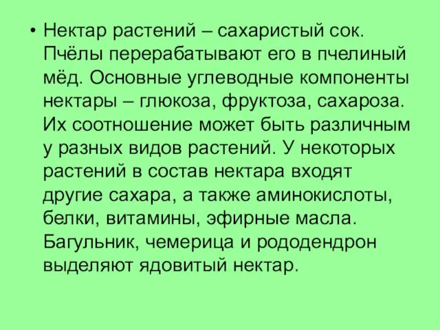 Нектар растений – сахаристый сок. Пчёлы перерабатывают его в пчелиный мёд. Основные