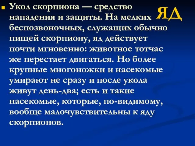 Укол скорпиона — средство нападения и защиты. На мелких беспозвоночных, служащих обычно