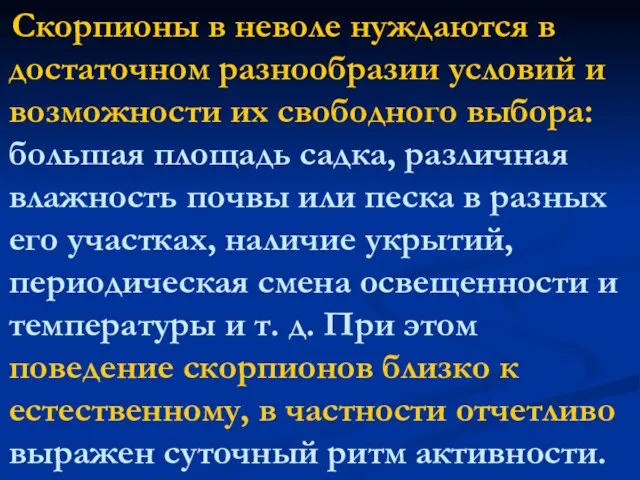 Скорпионы в неволе нуждаются в достаточном разнообразии условий и возможности их свободного