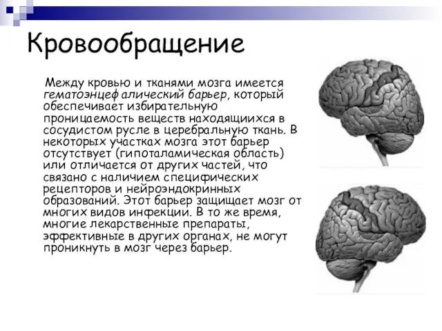 Кровообращение Между кровью и тканями мозга имеется гематоэнцефалический барьер, который обеспечивает избирательную