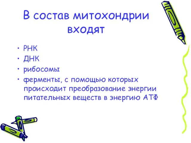 В состав митохондрии входят РНК ДНК рибосомы ферменты, с помощью которых происходит