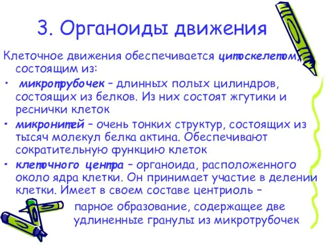 3. Органоиды движения Клеточное движения обеспечивается цитоскелетом, состоящим из: микротрубочек – длинных