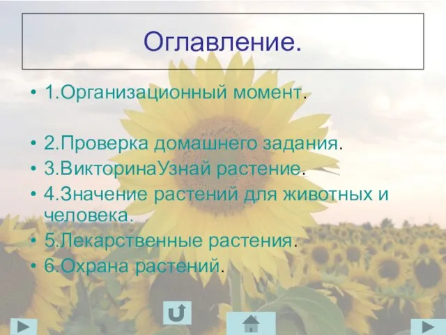 Оглавление. 1.Организационный момент. 2.Проверка домашнего задания. 3.ВикторинаУзнай растение. 4.Значение растений для животных