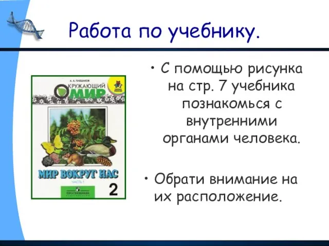 Работа по учебнику. С помощью рисунка на стр. 7 учебника познакомься с