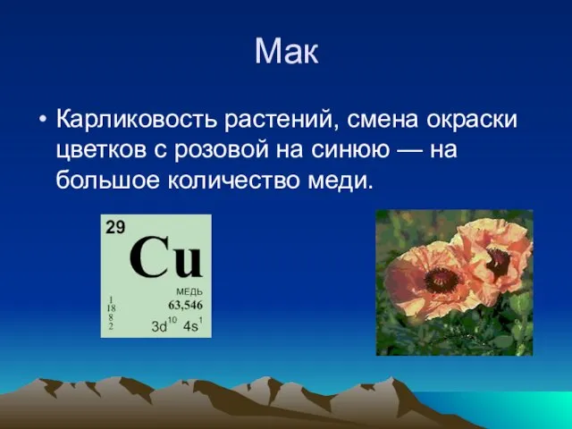 Мак Карликовость растений, смена окраски цветков с розовой на синюю — на большое количество меди.