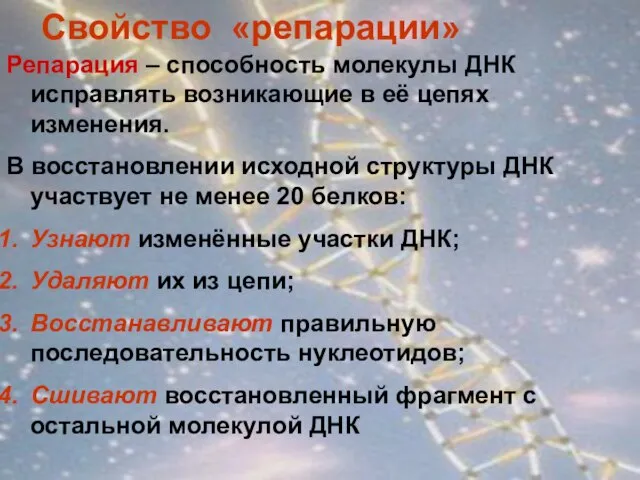 Свойство «репарации» Репарация – способность молекулы ДНК исправлять возникающие в её цепях