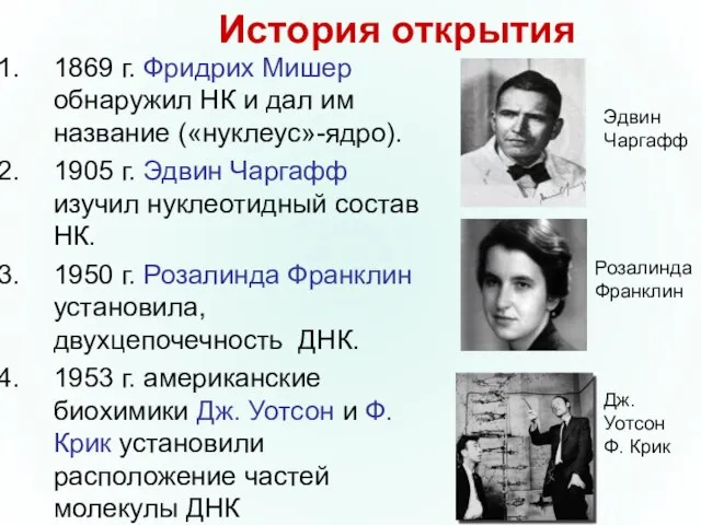 История открытия 1869 г. Фридрих Мишер обнаружил НК и дал им название