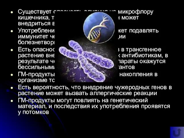 Существует опасность влияния на микрофлору кишечника, то есть чужеродный ген может внедриться