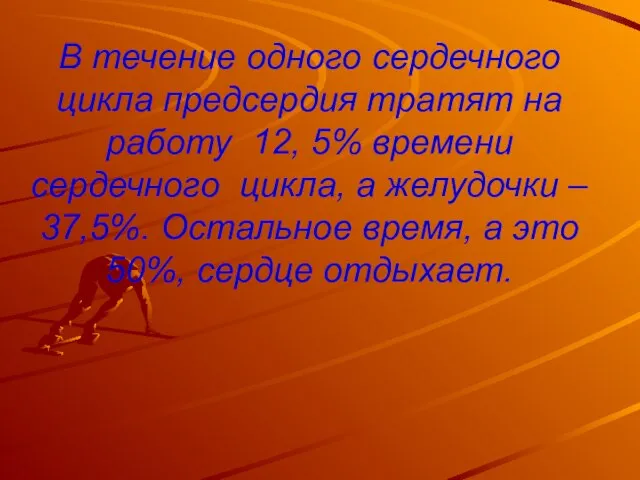 В течение одного сердечного цикла предсердия тратят на работу 12, 5% времени