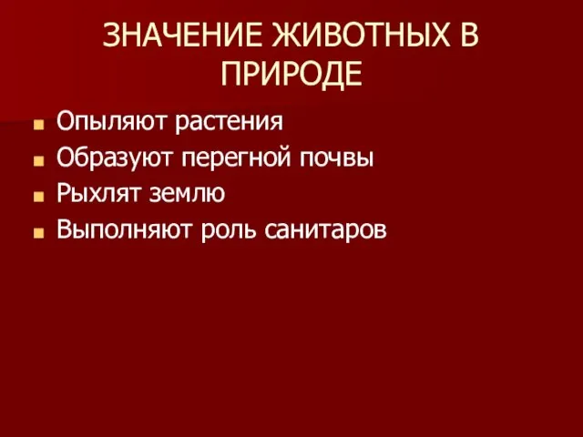 ЗНАЧЕНИЕ ЖИВОТНЫХ В ПРИРОДЕ Опыляют растения Образуют перегной почвы Рыхлят землю Выполняют роль санитаров