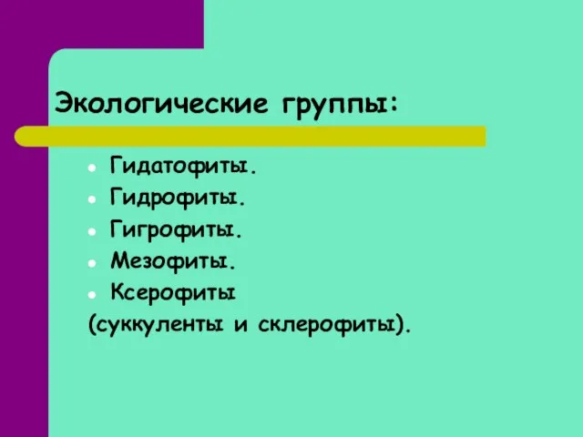 Экологические группы: Гидатофиты. Гидрофиты. Гигрофиты. Мезофиты. Ксерофиты (суккуленты и склерофиты).