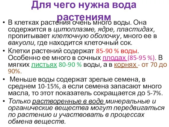 Для чего нужна вода растениям В клетках растения очень много воды. Она