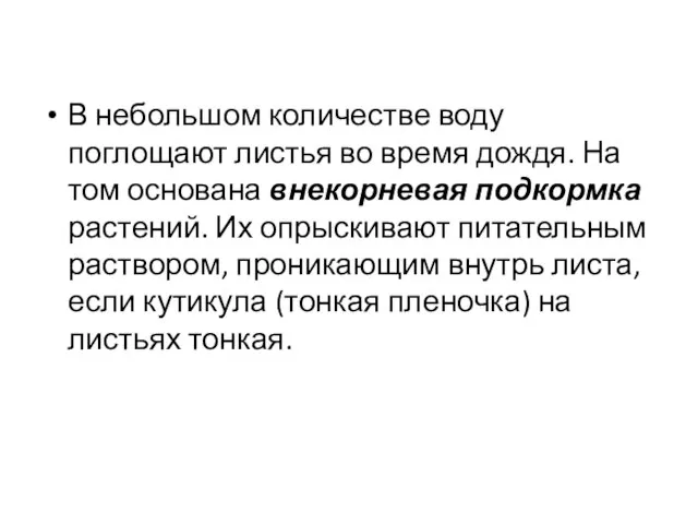 В небольшом количестве воду поглощают листья во время дождя. На том основана