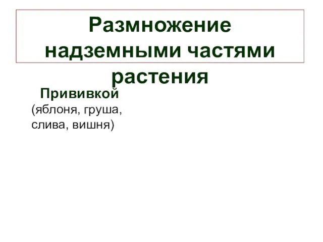 Размножение надземными частями растения Прививкой (яблоня, груша, слива, вишня)