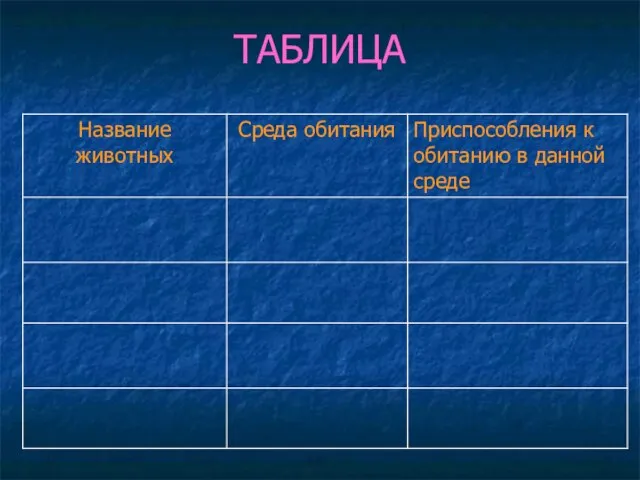 ТАБЛИЦА