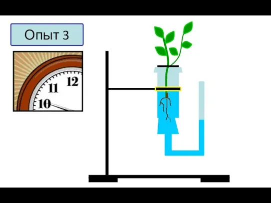 Опыт 3