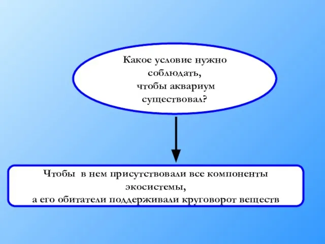 Какое условие нужно соблюдать, чтобы аквариум существовал? Чтобы в нем присутствовали все