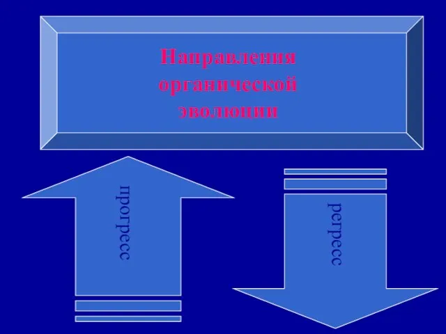 Презентация на тему Направления органической эволюции (11 класс)