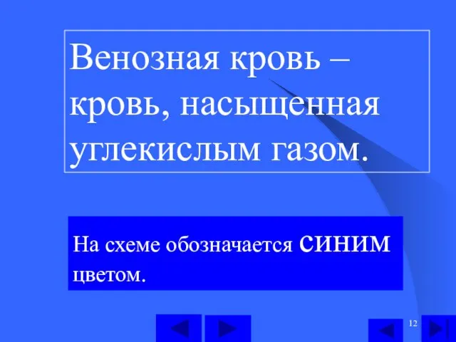 Венозная кровь – кровь, насыщенная углекислым газом. На схеме обозначается синим цветом.