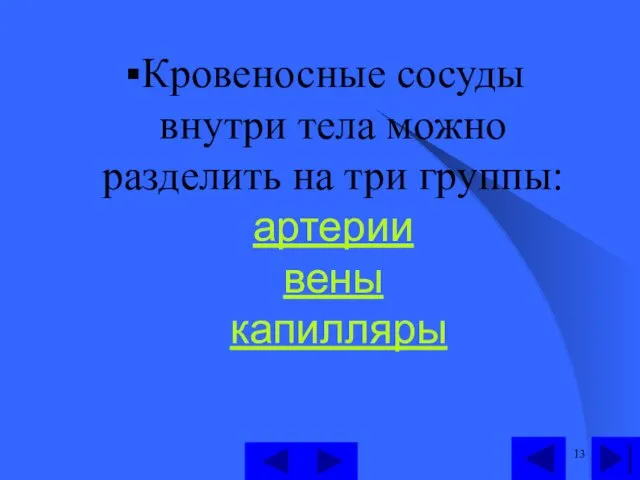 Кровеносные сосуды внутри тела можно разделить на три группы: артерии вены капилляры