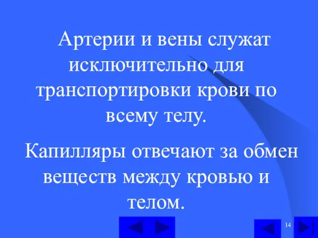 Артерии и вены служат исключительно для транспортировки крови по всему телу. Капилляры