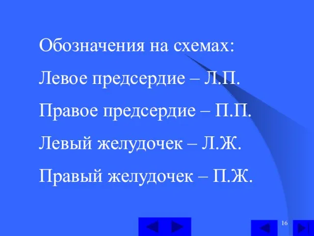 Обозначения на схемах: Левое предсердие – Л.П. Правое предсердие – П.П. Левый