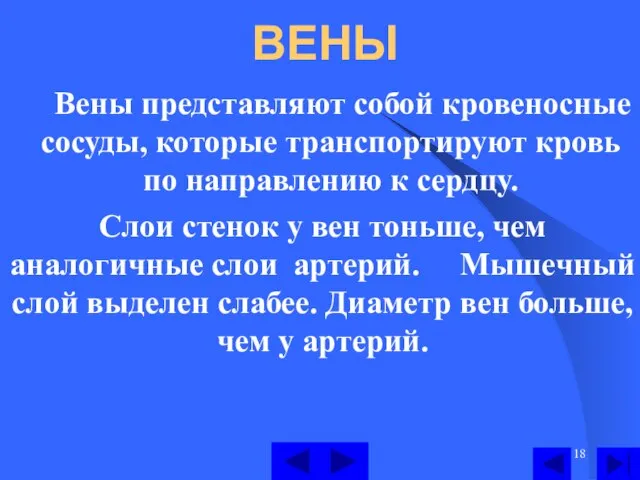 ВЕНЫ Вены представляют собой кровеносные сосуды, которые транспортируют кровь по направлению к