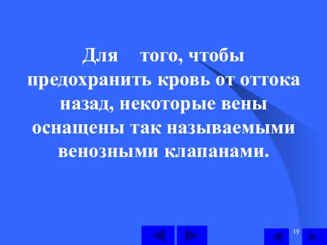 Для того, чтобы предохранить кровь от оттока назад, некоторые вены оснащены так называемыми венозными клапанами.