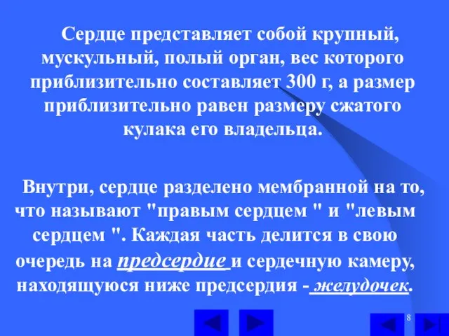 Сердце представляет собой крупный, мускульный, полый орган, вес которого приблизительно составляет 300